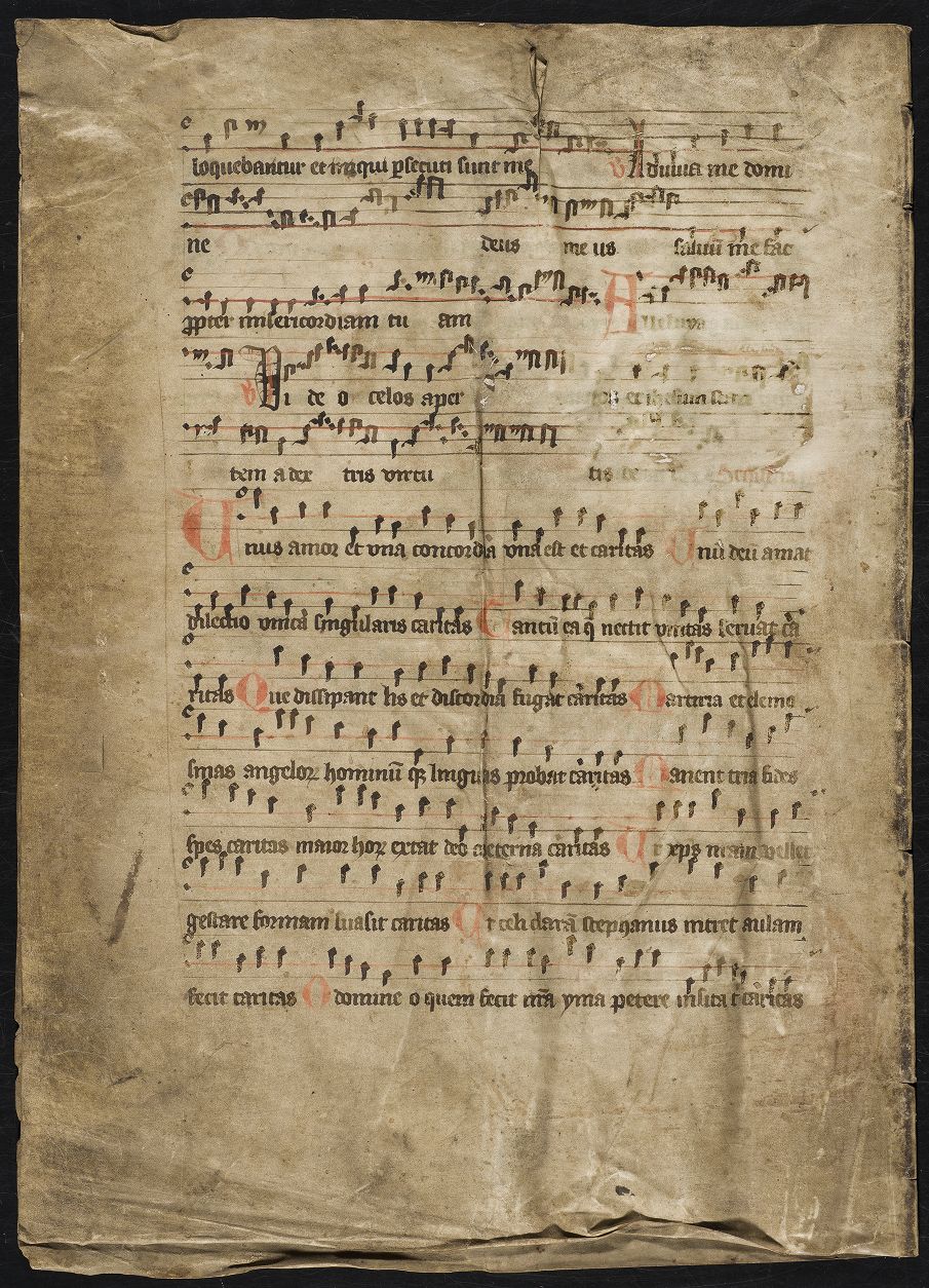 fol. 6v