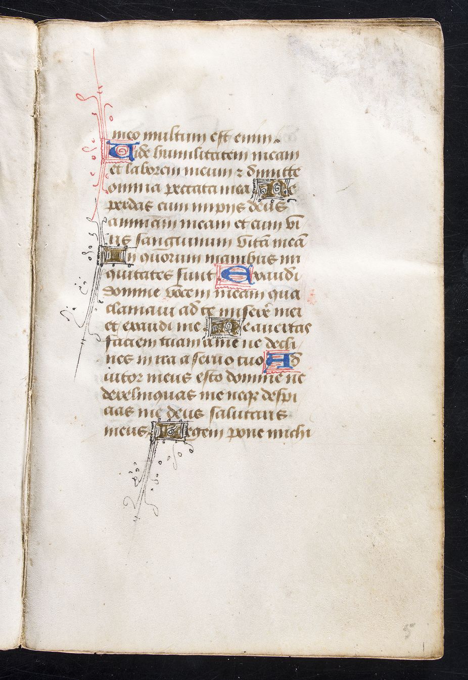 fol. 5r