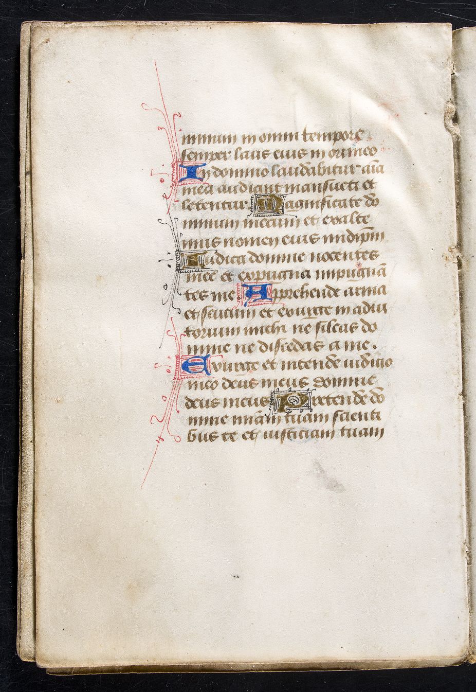 fol. 6v