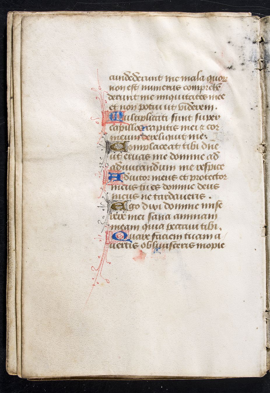 fol. 7v