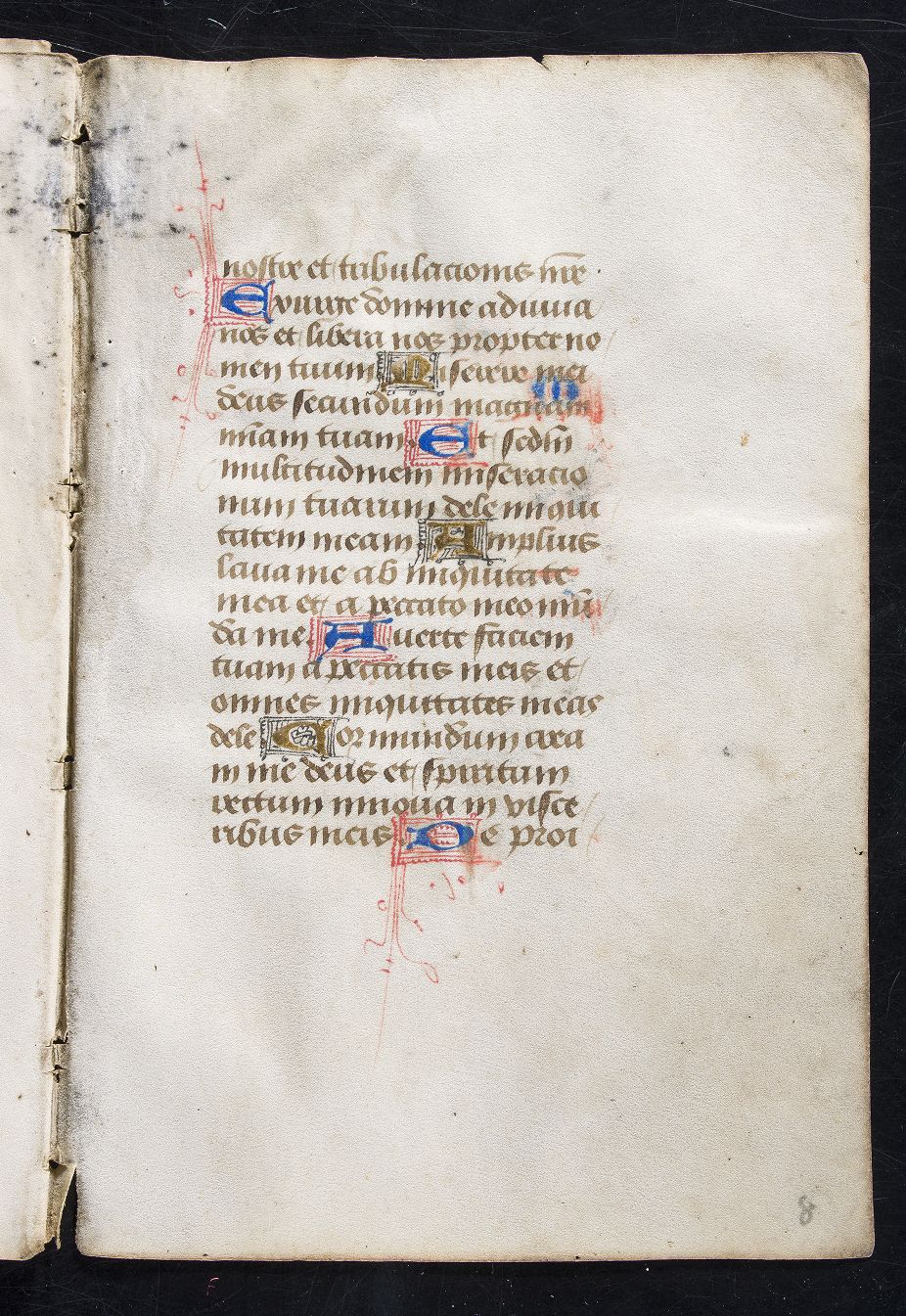 fol. 8r