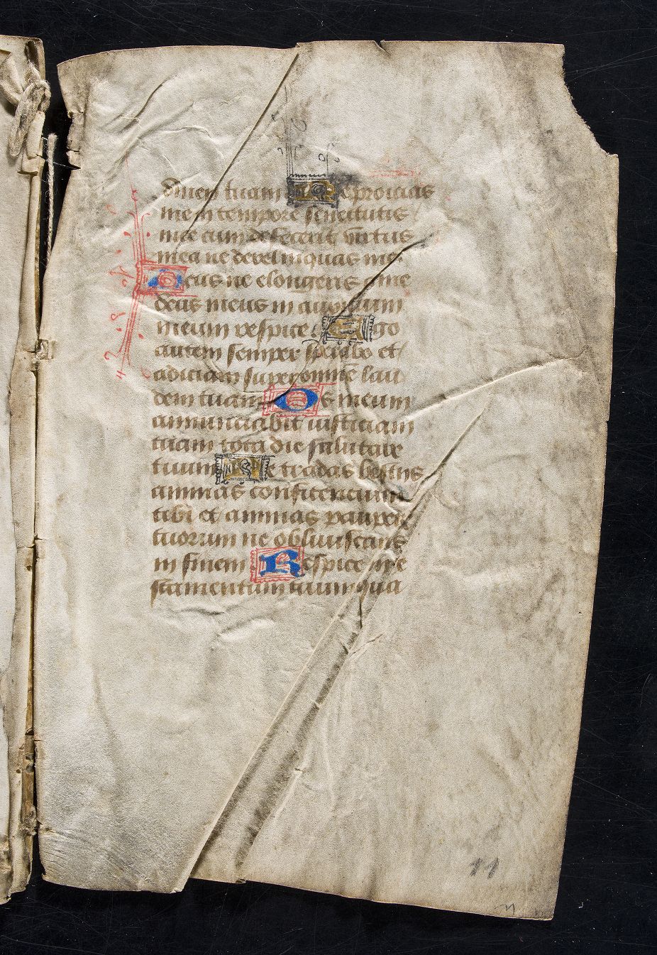 fol. 11r