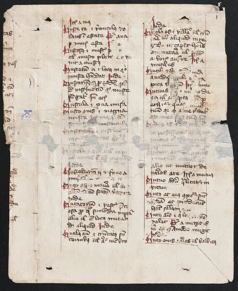 fol. 1r