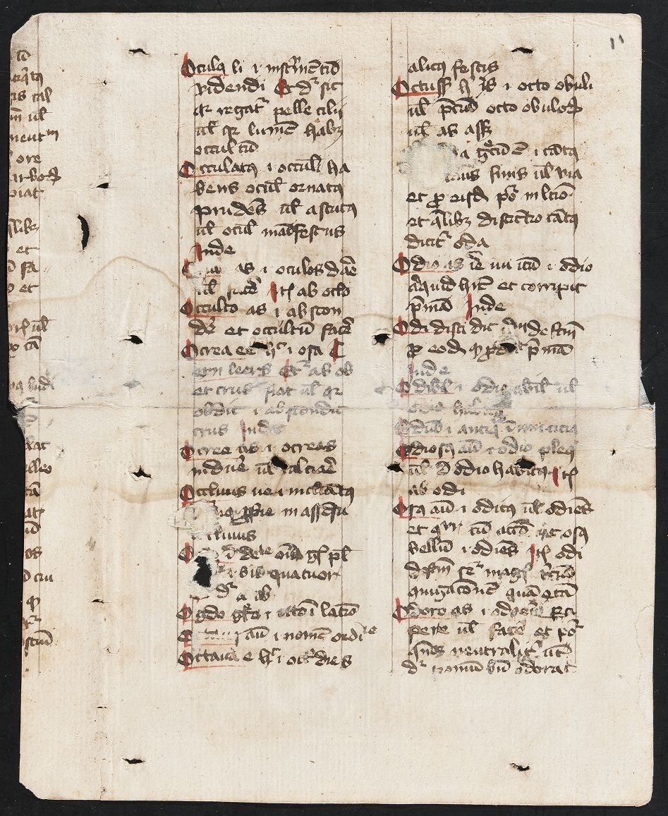 fol. 11r