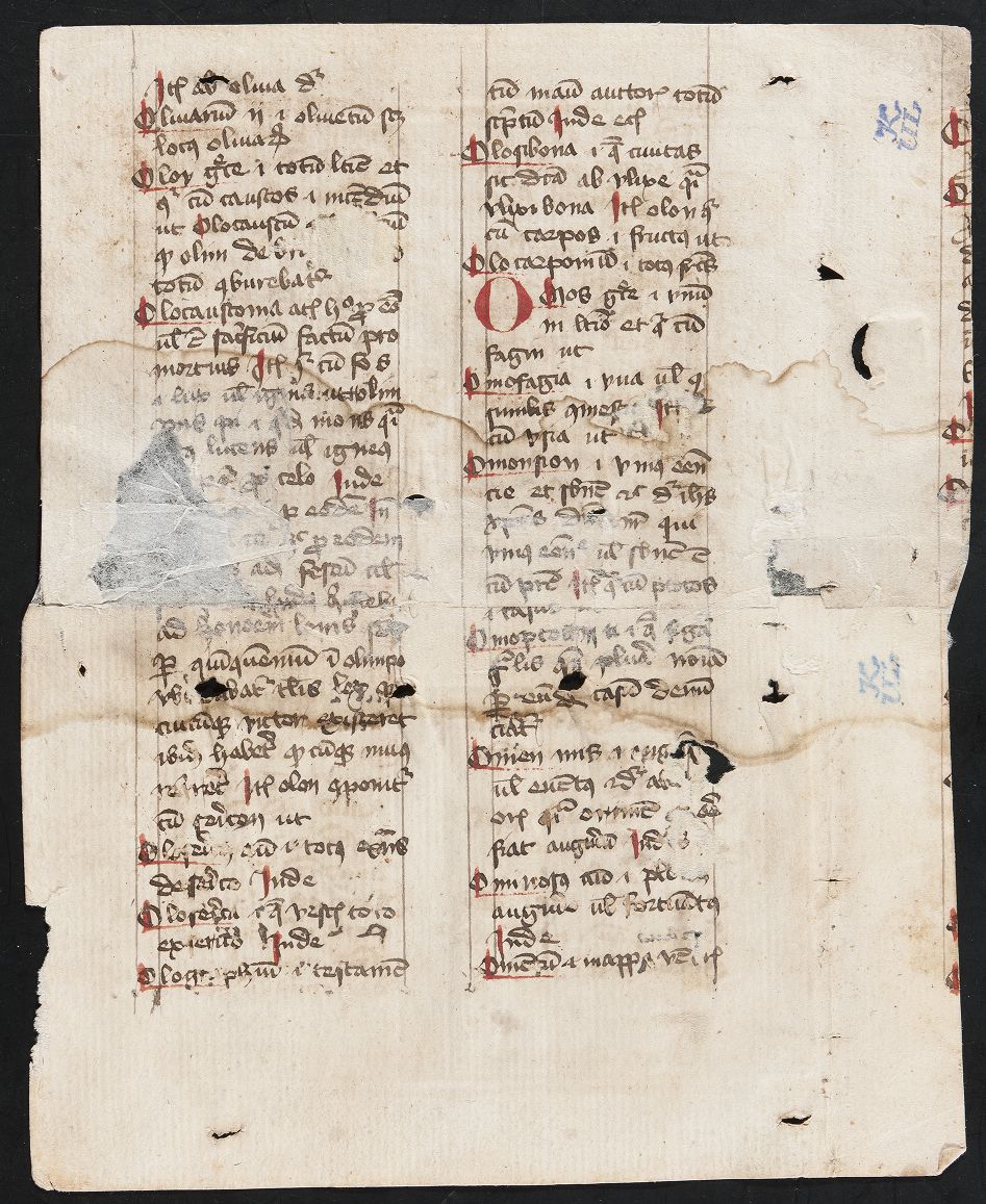 fol. 12v