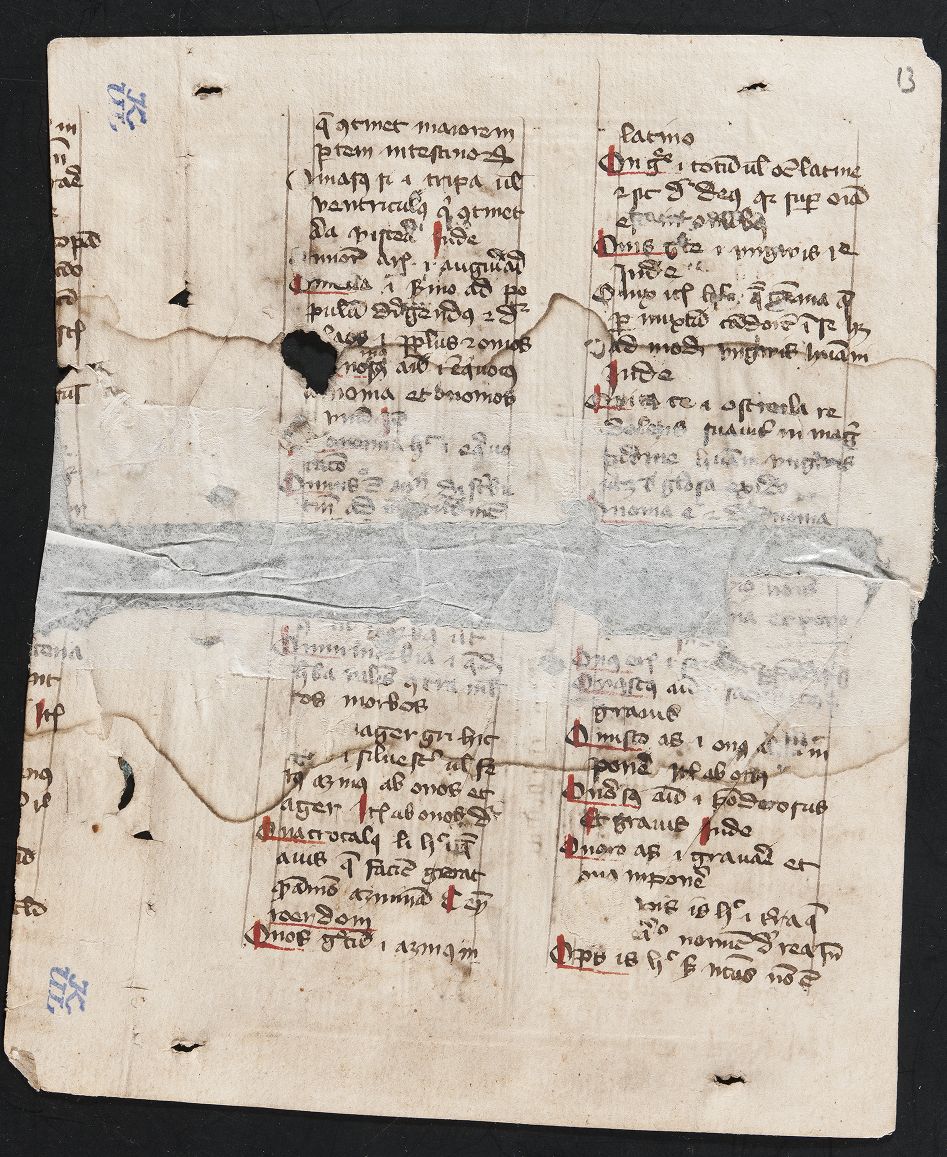 fol. 13r