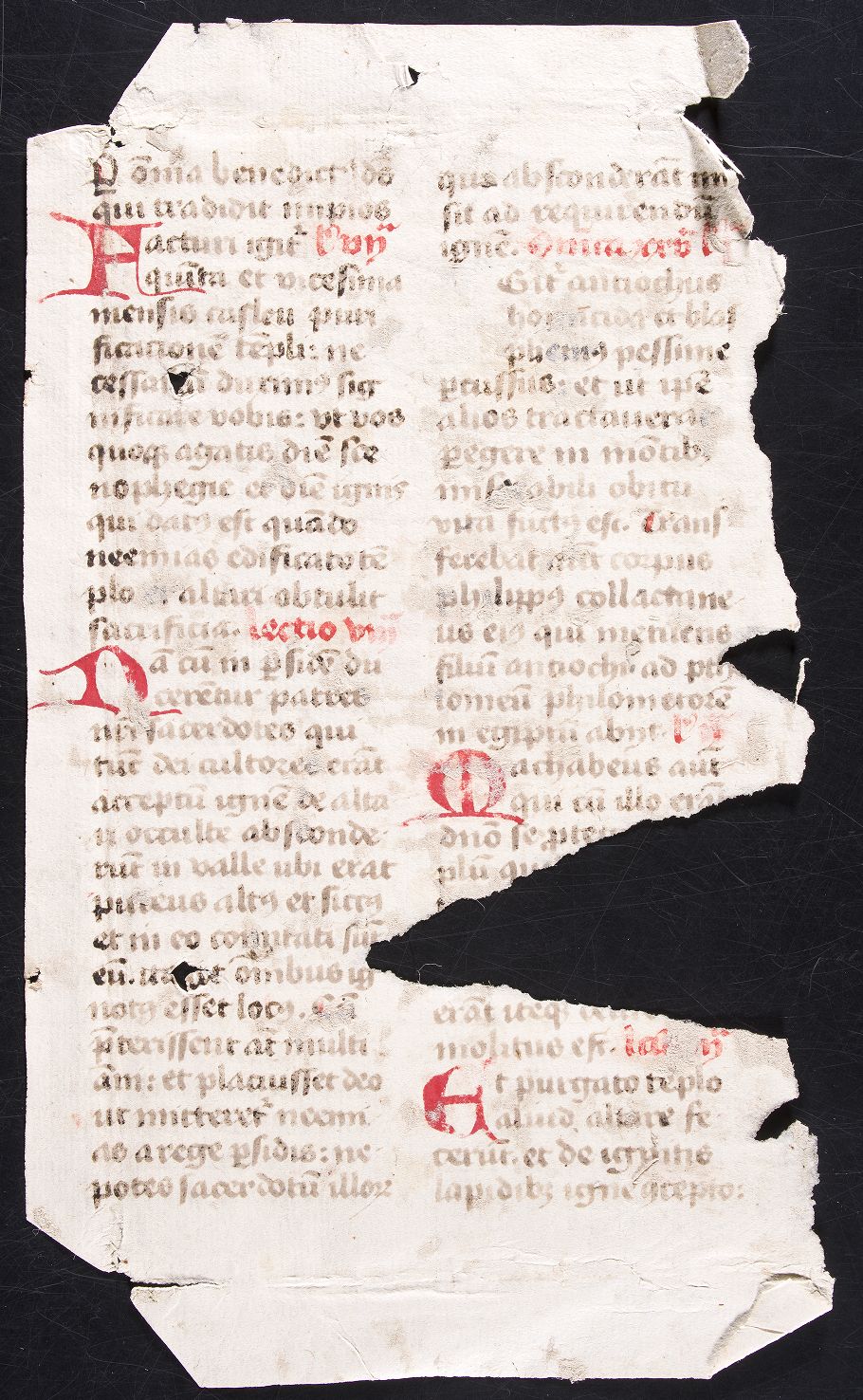 fol. 219v